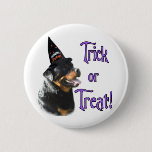 Rottweiler Trick Knapp