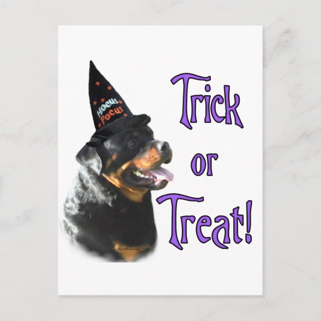 Rottweiler Trick Vykort (Framsida)