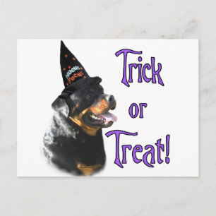 Rottweiler Trick Vykort