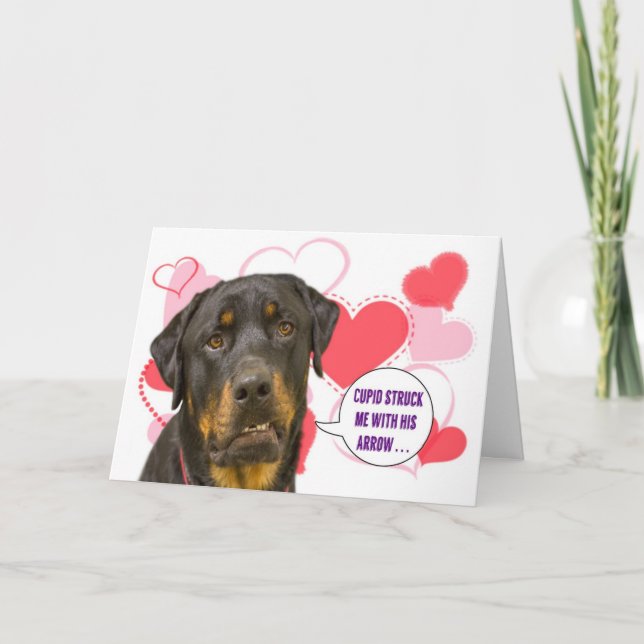 Rottweiler valentin kort för dag (Framsida)