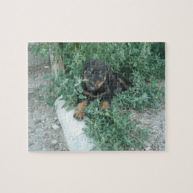 Rottweiler Valp Foto Pussel (Horisontell)