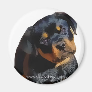 Rottweiler valp magnet