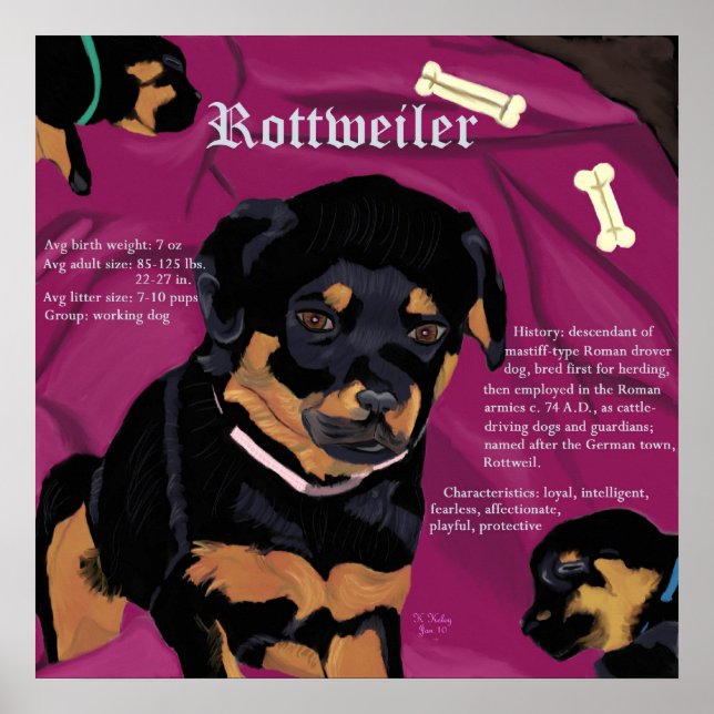 Rottweiler-Valp poster (Framsidan)