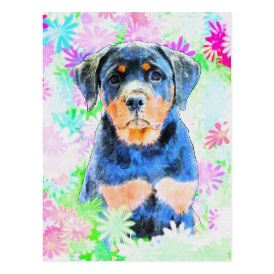 Rottweiler valp vykort