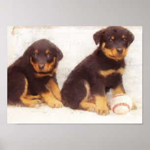 Rottweiler valpaffisch poster