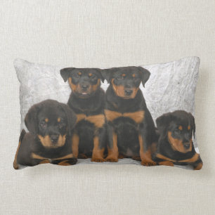 Rottweiler valpar lumbarkudde