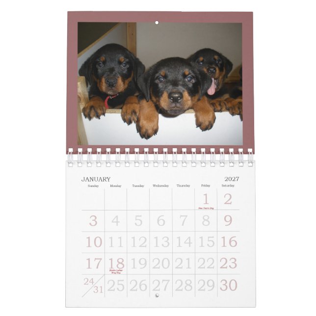 Rottweiler valpkalender kalender (Jan 2027)