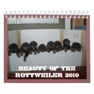 Rottweiler valpkalender kalender