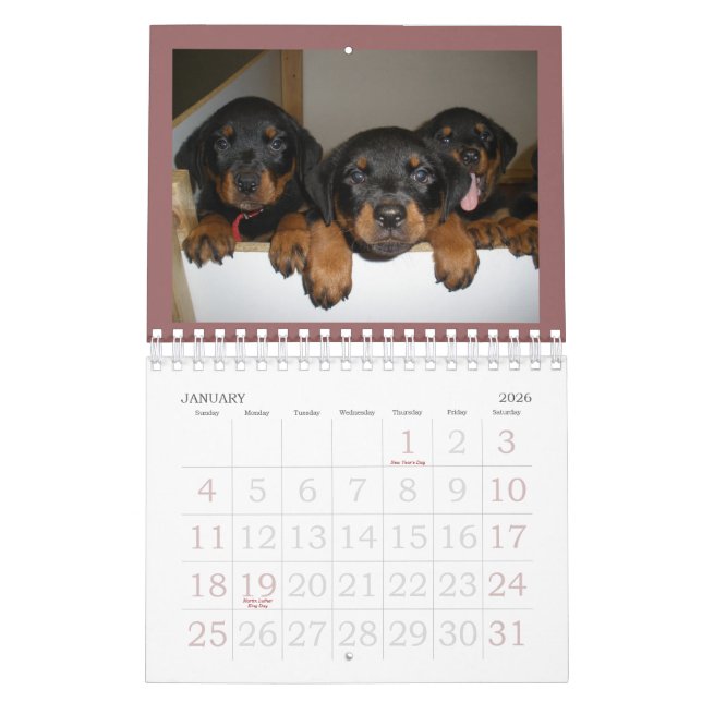 Rottweiler valpkalender kalender (Jan 2026)