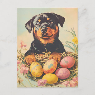 Rottweiler Vintage Påsk Vykort
