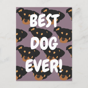 Rottweiler vykort