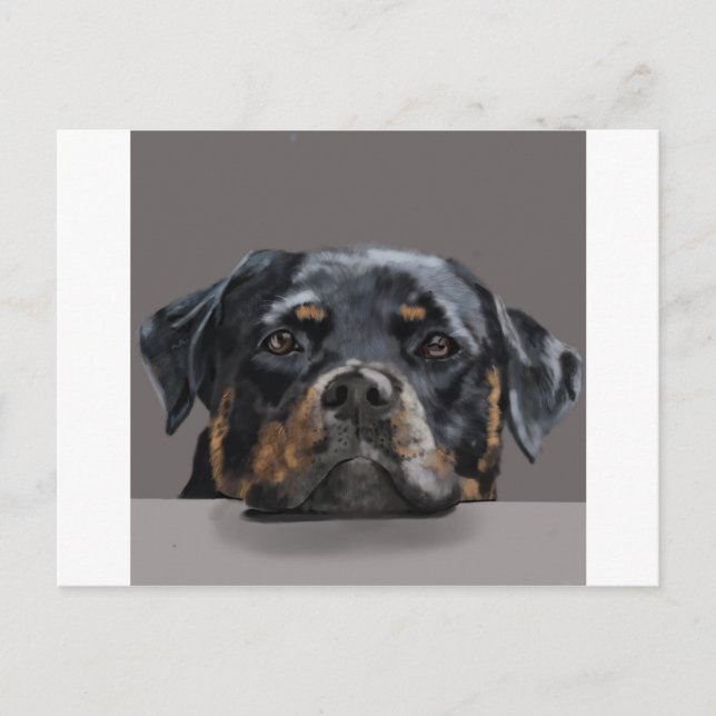 Rottweiler Vykort (Framsida)