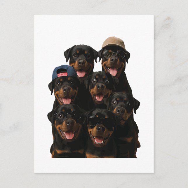 Rottweiler Vykort (Framsida)