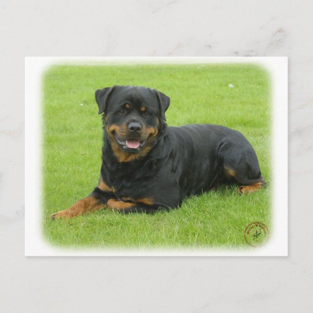 Rottweiler Vykort (Framsida)