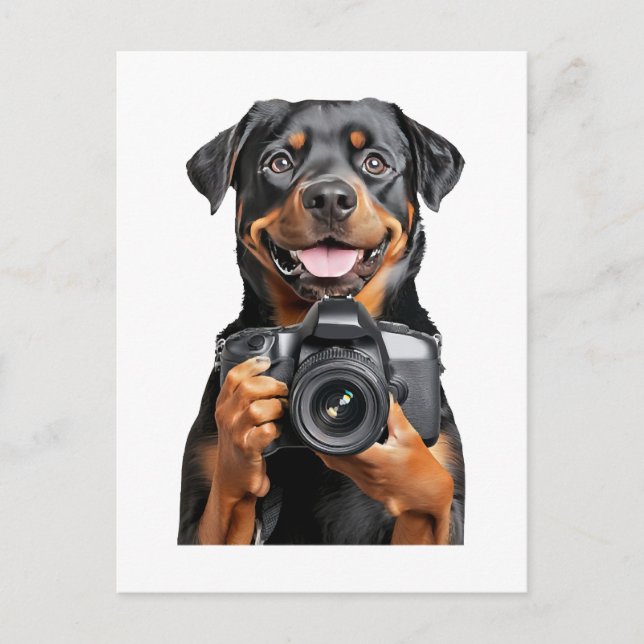 Rottweiler   vykort (Framsida)