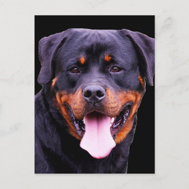 ’Rottweiler’ Vykort (Framsida)