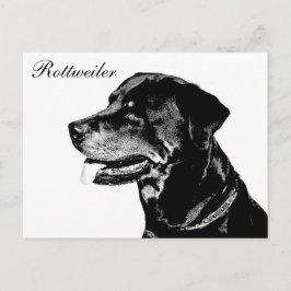 Rottweiler-vykort Vykort