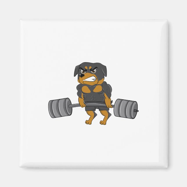 Rottweiler Weightlyftande Bodybuilding Hund tröja  Magnet (Framsidan)