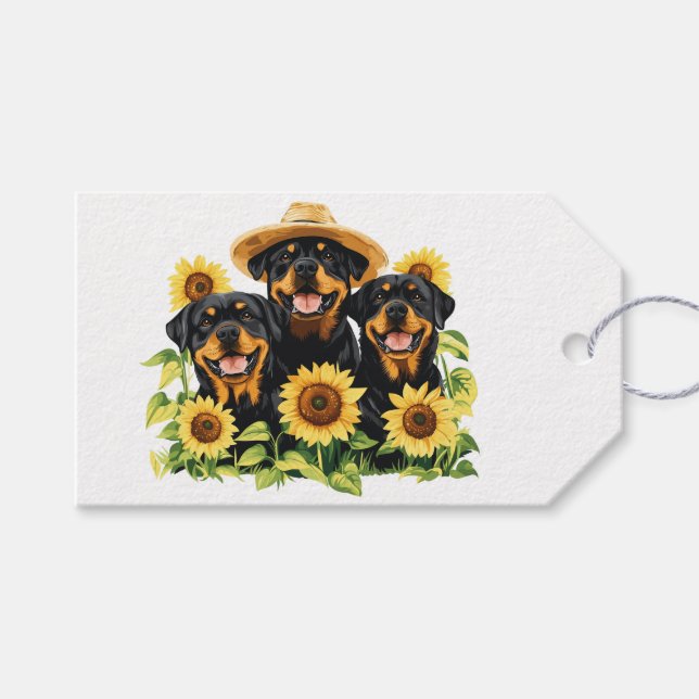 Rottweilerhundar Omgivna Av Solrosor Presentetikett (Framsidan (Horisontell))