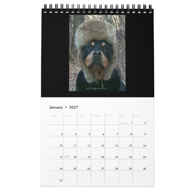 Rottweilers 2014 vid den Diane kalendern Kalender (Jan 2027)