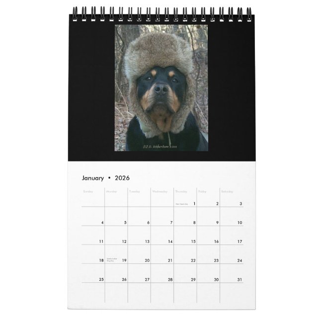 Rottweilers 2014 vid den Diane kalendern Kalender (Jan 2026)