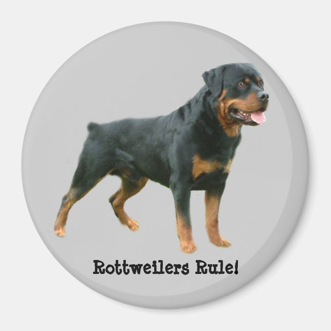 Rottweilers Rule Magnet (Framsidan)