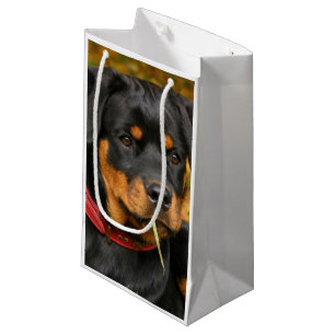 Rottweilers Valp Ljugande på skogsmark