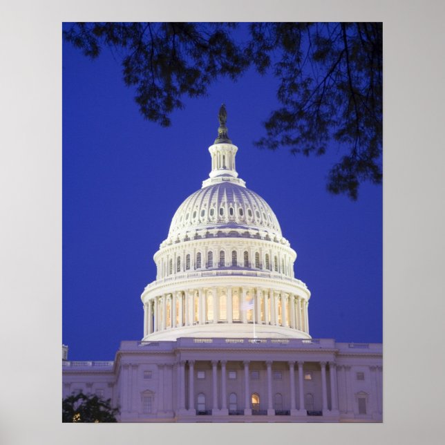 Rotunda från U.S. Huvudstad på natten, Washington Poster (Framsidan)
