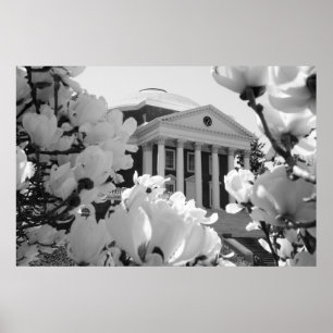 Rotunda och blommor poster
