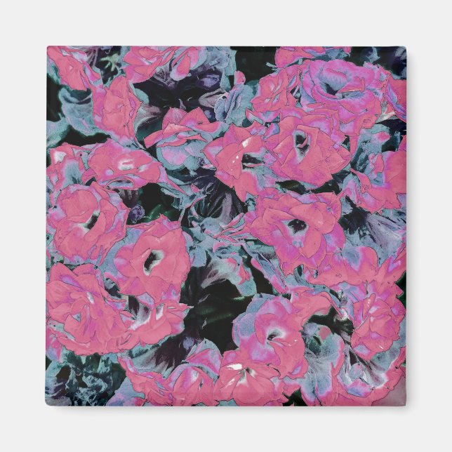Rouge Kalanchoe Plant Magnet (Framsidan)