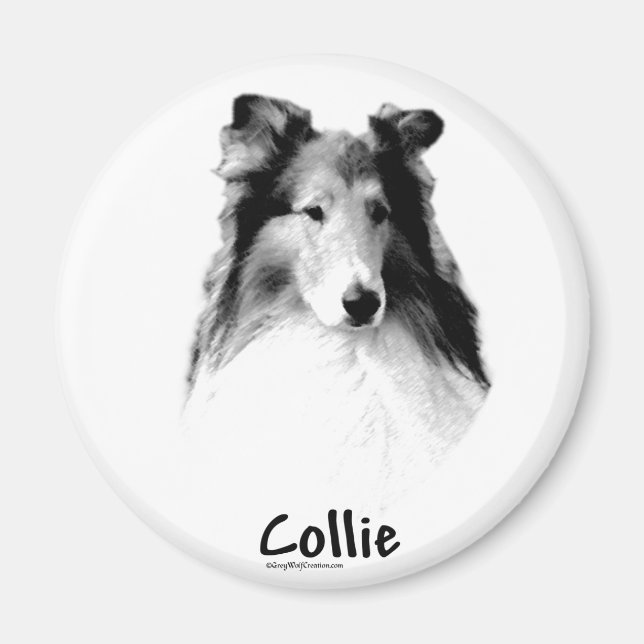Rough Collie Charcol Magnet (Framsidan)