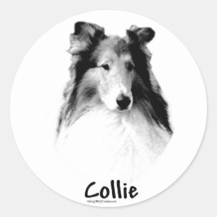 Rough Collie Charcol Runt Klistermärke