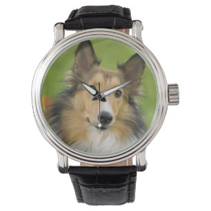 Rough Collie, hund Armbandsur