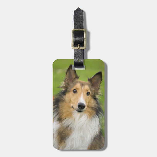 Rough Collie, hund Bagagebricka (Vertikal Framsida)