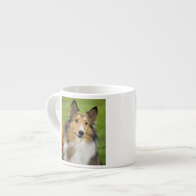 Rough Collie, hund Espressomugg (Framsida vänster)