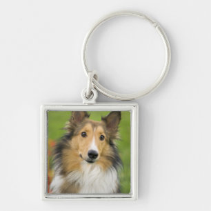 Rough Collie, hund Fyrkantig Silverfärgad Nyckelring