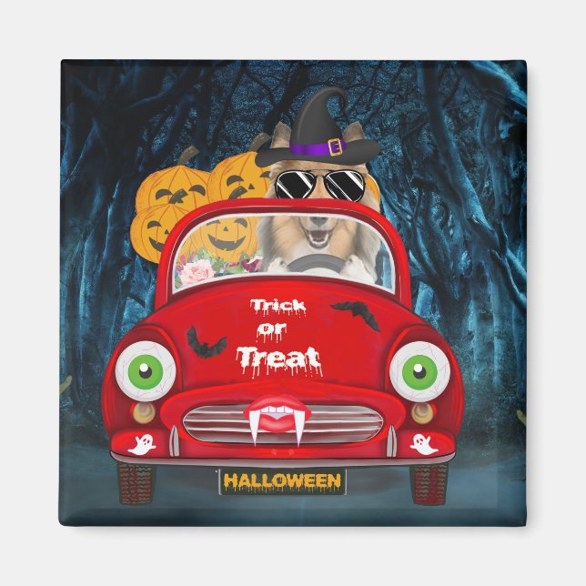 Rough Collie Hund Kör Bil Skräck Halloween Magnet (Framsidan)