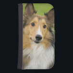 Rough Collie, hund Samsung S4 Plånboksfodral<br><div class="desc">Rough Collie,  hund,  animal � Jim Engelbrecht / DanitaDelimont.com</div>