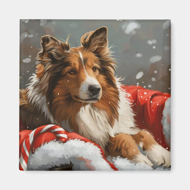 Rough Collie Julfirande Hund Magnet (Framsidan)