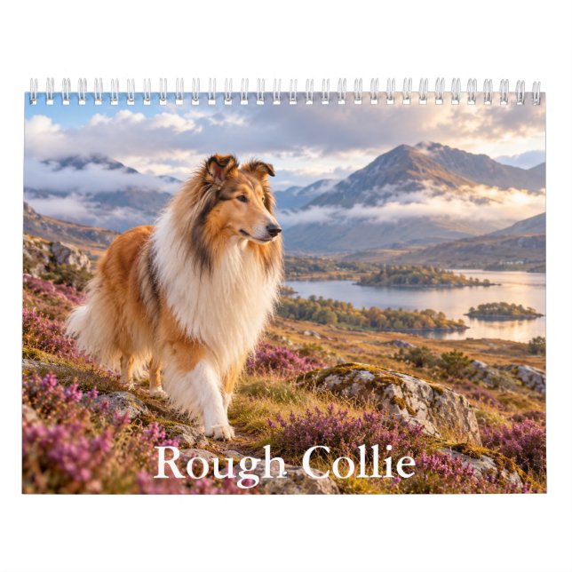 Rough Collie-kalender Kalender (Omslag)