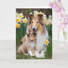 Rough Collie Mamma Mors Dag Kärlek Kort