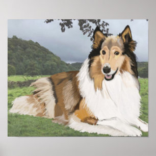 Rough Collie mot Yorkshire Dales Poster