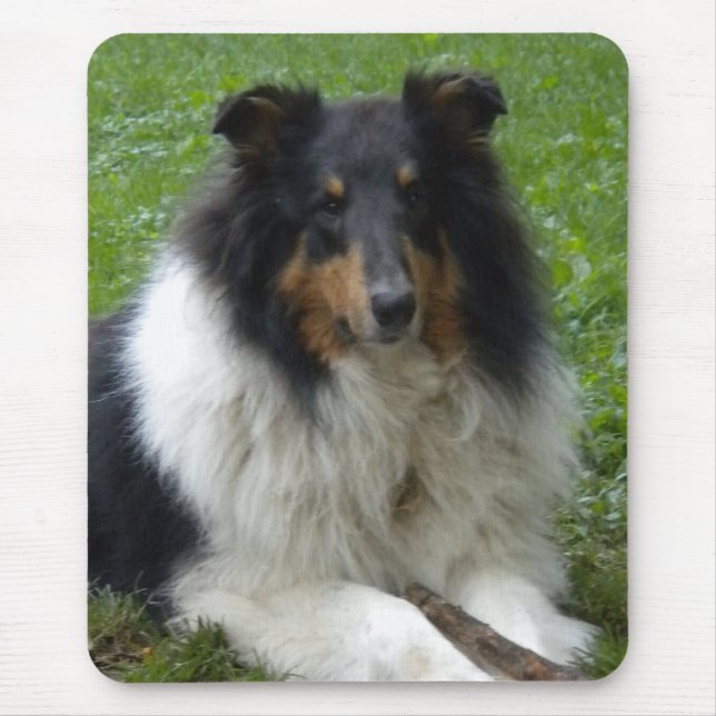 Rough Collie Mouse Pad Musmatta (Framsidan)