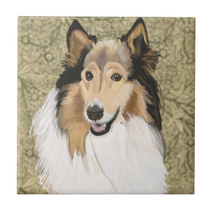 Rough Collie Porträtt Kakelplatta