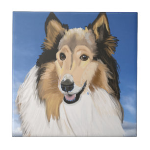 Rough Collie Porträtt mot blå himmel Kakelplatta