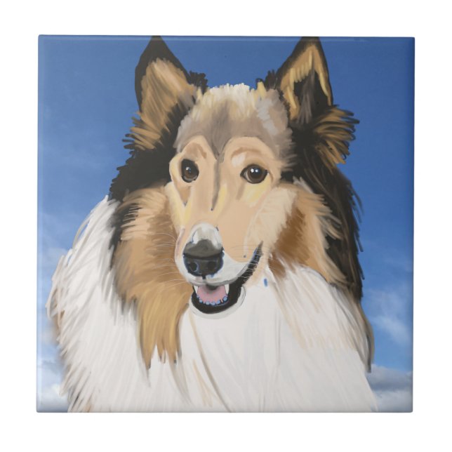 Rough Collie Porträtt mot blå himmel Kakelplatta (Framsidan)