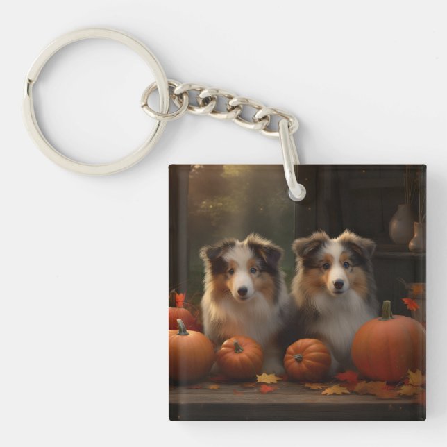 Rough Collie Puppy Autumn Delight Pumpkin (Framsidan)