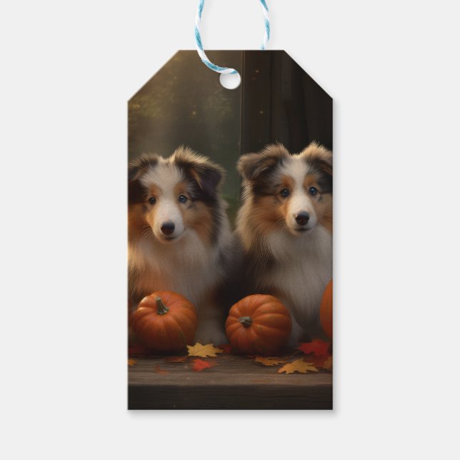 Rough Collie Puppy Autumn Delight Pumpkin Presentetikett (Framsidan)