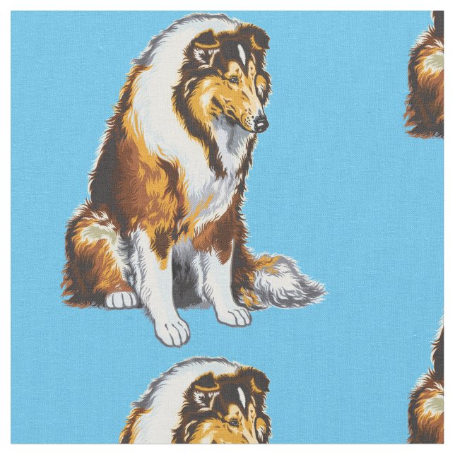 Rough Collie Tyg (Närbild)