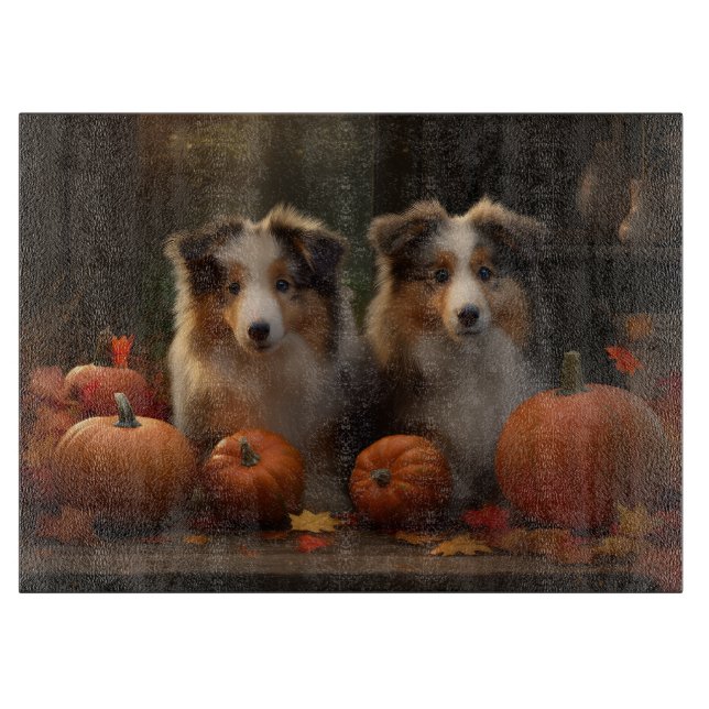 Rough Collie Valp Höstglädje Pumpa  (Framsidan)